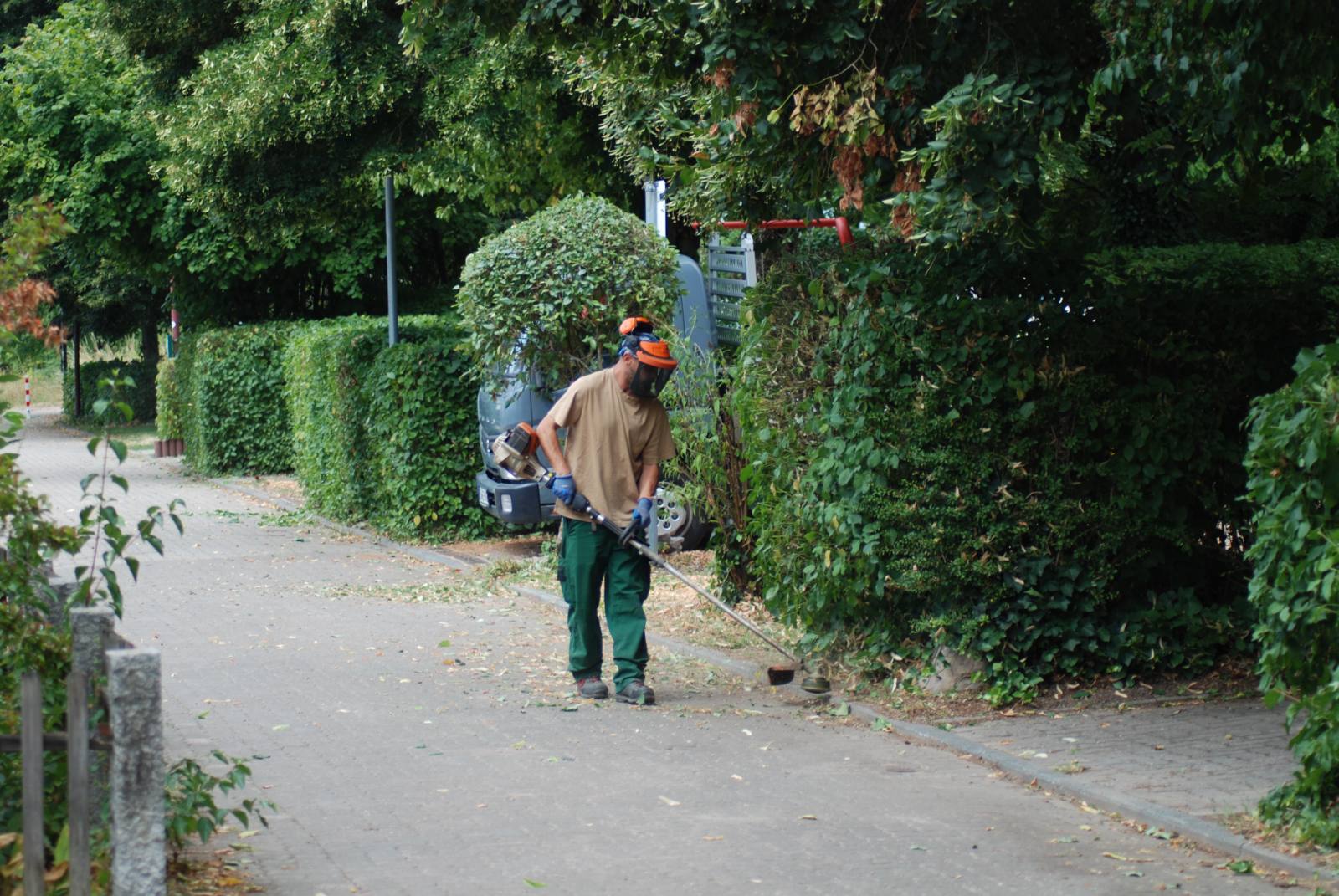 Freischneiden eines Gehwegs entlang einer Hecke
